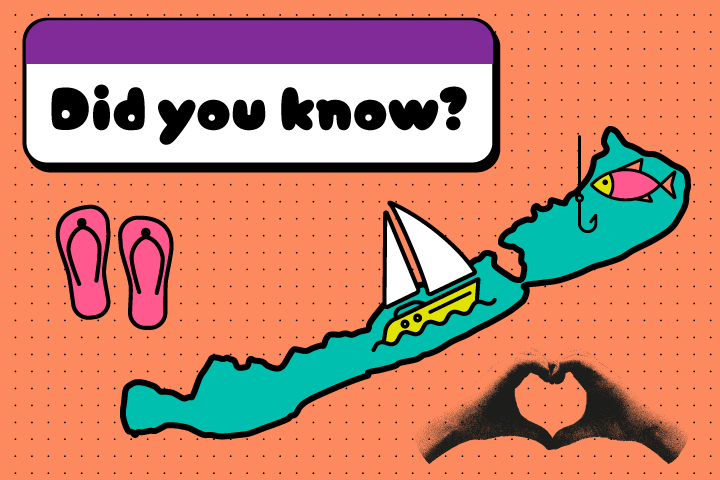 Did you know? – Balaton