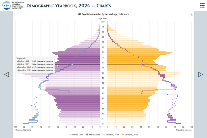 Demographic Yearbook, 2024 – charts