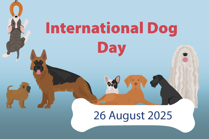 International Dog Day
