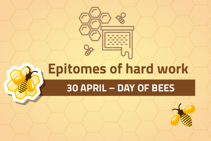 Day of Bees, 30 April