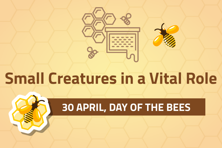 Day of Bees, 30 April
